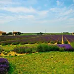 Agroturismo Il Murello Fiorentina
