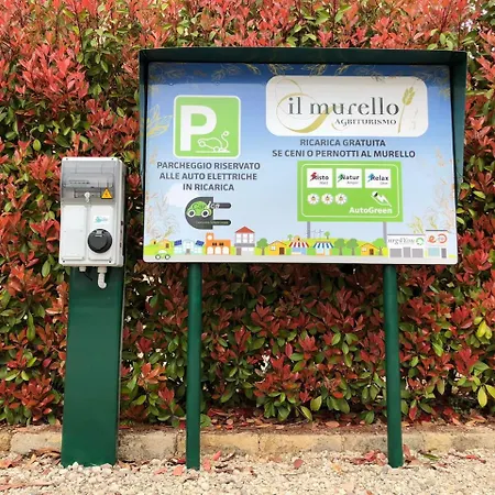 Il Murello * Fiorentina