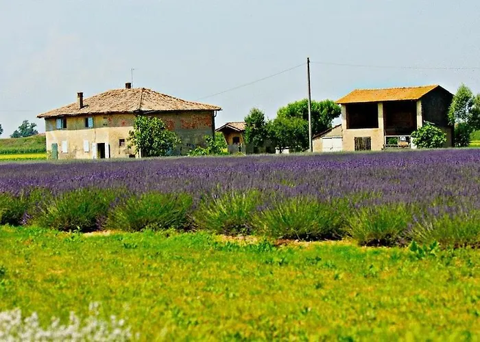Il Murello Fiorentina