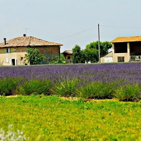 Il Murello Fiorentina