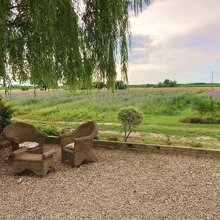 Il Murello Agroturismo