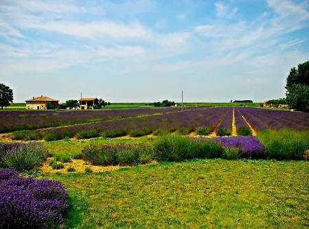 Agroturismo Il Murello Fiorentina