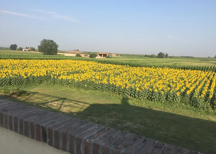 Il Murello Alojamento de Turismo Rural