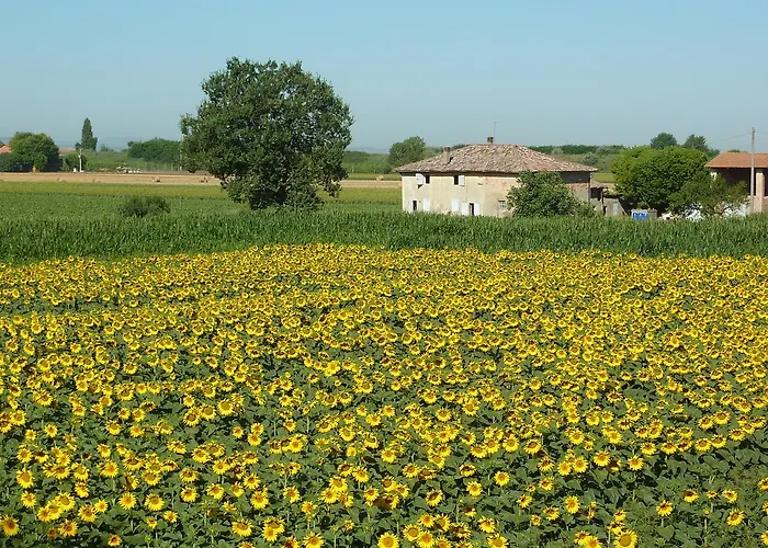 Il Murello Alojamento de Turismo Rural Fiorentina