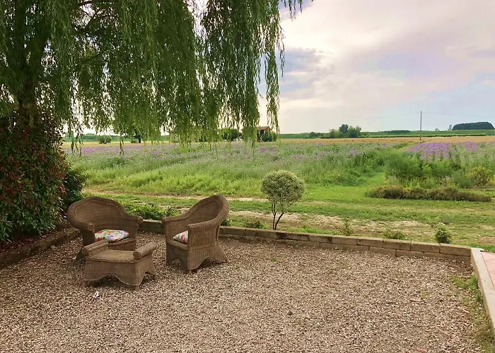 Il Murello Farm stay