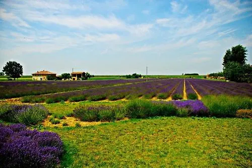 Farm stay Il Murello Fiorentina
